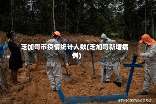 芝加哥市疫情统计人数(芝加哥新增病例)-第2张图片