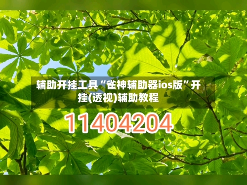 辅助开挂工具“雀神辅助器ios版	”开挂(透视)辅助教程-第1张图片