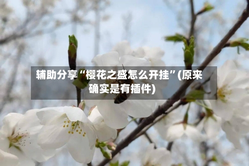 辅助分享“樱花之盛怎么开挂”(原来确实是有插件)-第2张图片