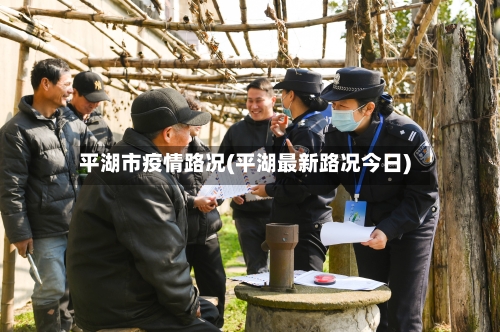 平湖市疫情路况(平湖最新路况今日)-第1张图片