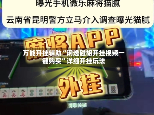 万能开挂辅助“闲逸碰胡开挂视频一键购买	”详细开挂玩法-第1张图片