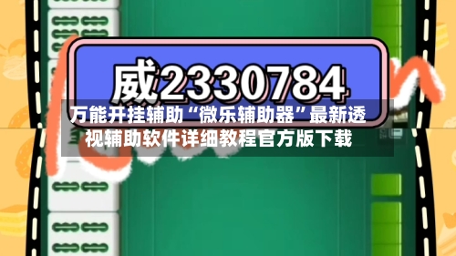 万能开挂辅助“微乐辅助器”最新透视辅助软件详细教程官方版下载-第2张图片