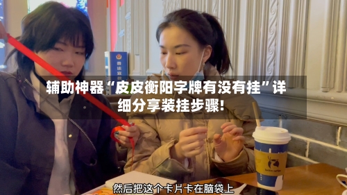 辅助神器“皮皮衡阳字牌有没有挂”详细分享装挂步骤!-第1张图片