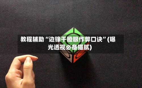 教程辅助“边锋干瞪眼作弊口诀”(曝光透视必备猫腻)-第1张图片