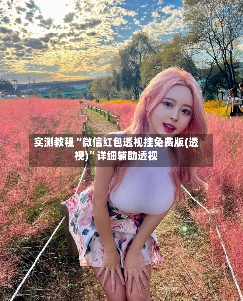 实测教程“微信红包透视挂免费版(透视)	”详细辅助透视-第1张图片