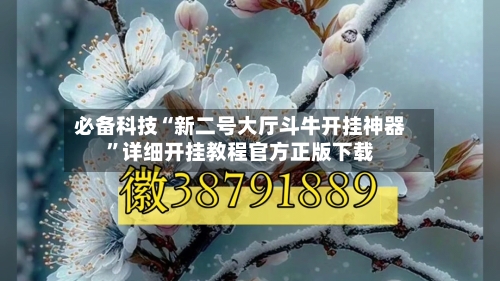 必备科技“新二号大厅斗牛开挂神器	”详细开挂教程官方正版下载-第2张图片