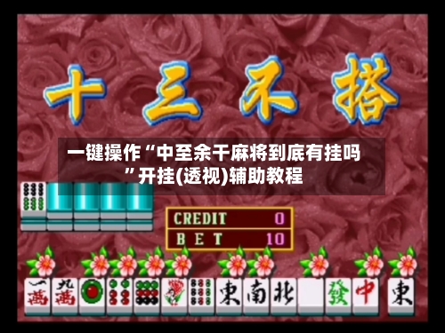 一键操作“中至余干麻将到底有挂吗”开挂(透视)辅助教程-第2张图片