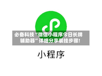 必备科技“微信小程序今日长牌辅助器	”详细分享装挂步骤!-第3张图片
