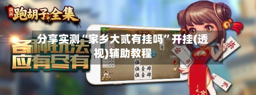 分享实测“家乡大贰有挂吗”开挂(透视)辅助教程-第2张图片