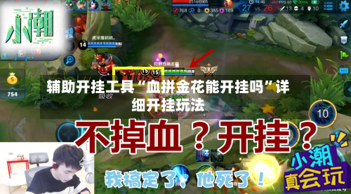 辅助开挂工具“血拼金花能开挂吗”详细开挂玩法-第1张图片