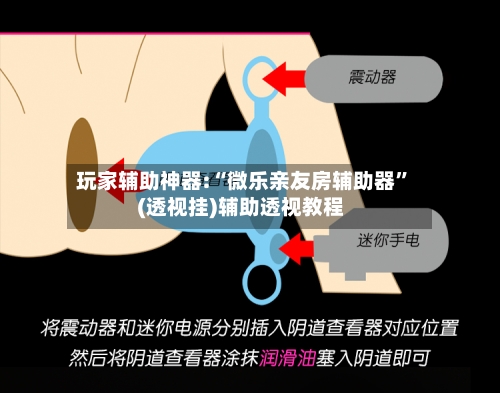 玩家辅助神器:“微乐亲友房辅助器	”(透视挂)辅助透视教程-第2张图片