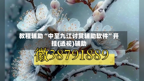 教程辅助“中至九江讨赏辅助软件”开挂(透视)辅助-第2张图片