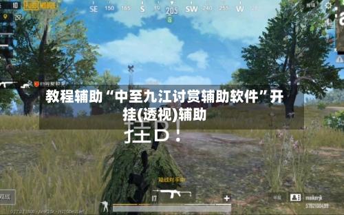教程辅助“中至九江讨赏辅助软件”开挂(透视)辅助-第1张图片