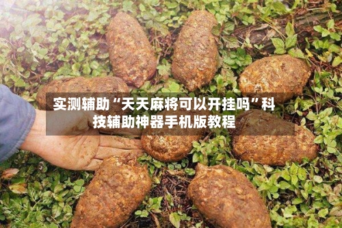 实测辅助“天天麻将可以开挂吗”科技辅助神器手机版教程-第1张图片