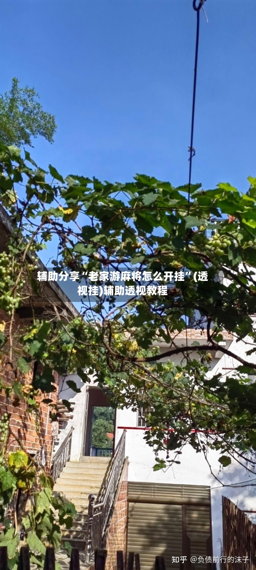 辅助分享“老家游麻将怎么开挂	”(透视挂)辅助透视教程-第1张图片