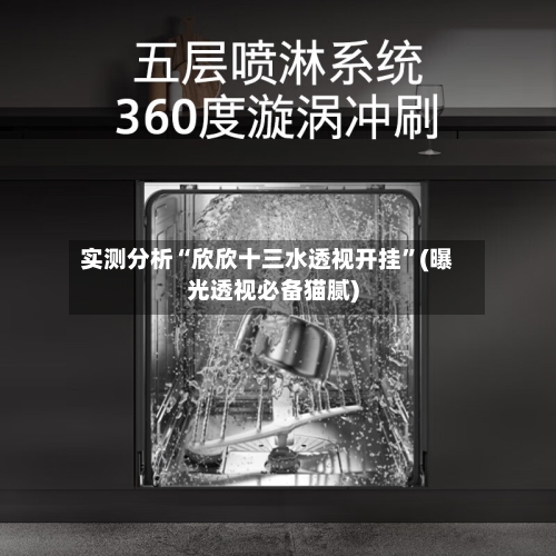 实测分析“欣欣十三水透视开挂”(曝光透视必备猫腻)-第1张图片