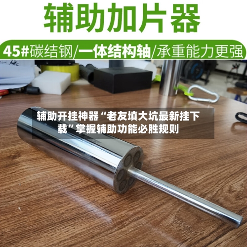 辅助开挂神器“老友填大坑最新挂下载”掌握辅助功能必胜规则-第1张图片