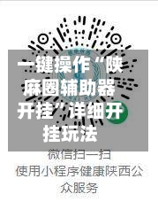 一键操作“陕麻圈辅助器开挂”详细开挂玩法-第2张图片