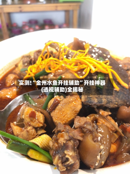 实测!“金州水鱼开挂辅助	”开挂神器{透视辅助}全揭秘-第1张图片