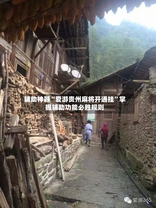 辅助神器“爱游贵州麻将开通挂	”掌握辅助功能必胜规则-第2张图片