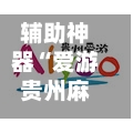 辅助神器“爱游贵州麻将开通挂”掌握辅助功能必胜规则-第3张图片