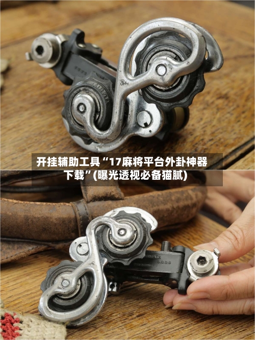 开挂辅助工具“17麻将平台外卦神器下载	”(曝光透视必备猫腻)-第1张图片