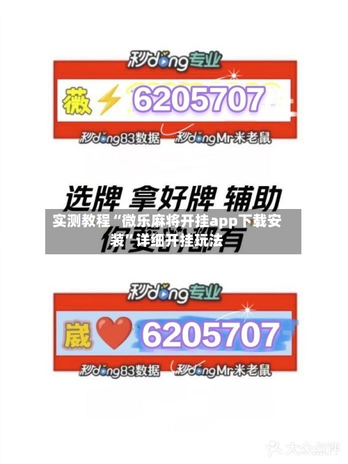 实测教程“微乐麻将开挂app下载安装	”详细开挂玩法-第3张图片