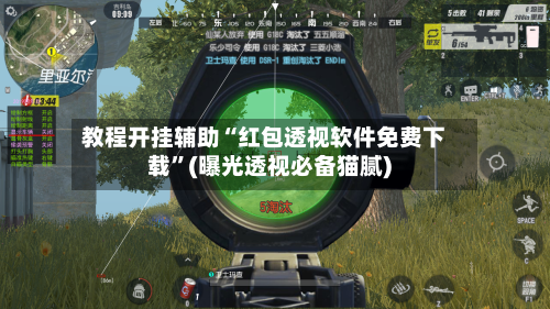 教程开挂辅助“红包透视软件免费下载”(曝光透视必备猫腻)-第3张图片