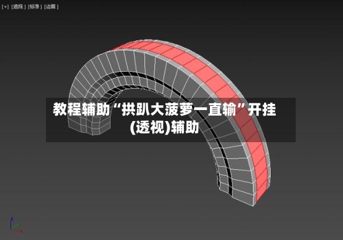 教程辅助“拱趴大菠萝一直输”开挂(透视)辅助-第1张图片