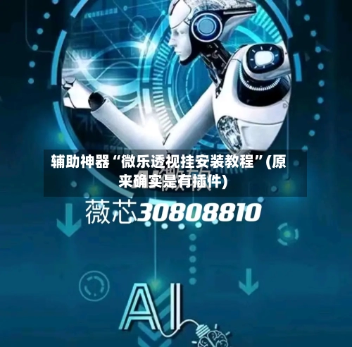 辅助神器“微乐透视挂安装教程”(原来确实是有插件)-第3张图片