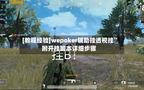 [教程经验]wepoker辅助挂透视挂	”附开挂脚本详细步骤-第1张图片