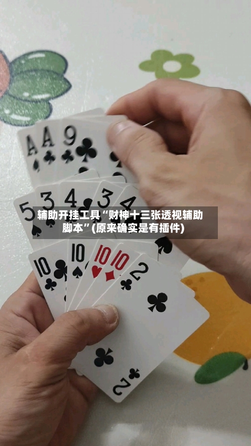 辅助开挂工具“财神十三张透视辅助脚本”(原来确实是有插件)-第1张图片