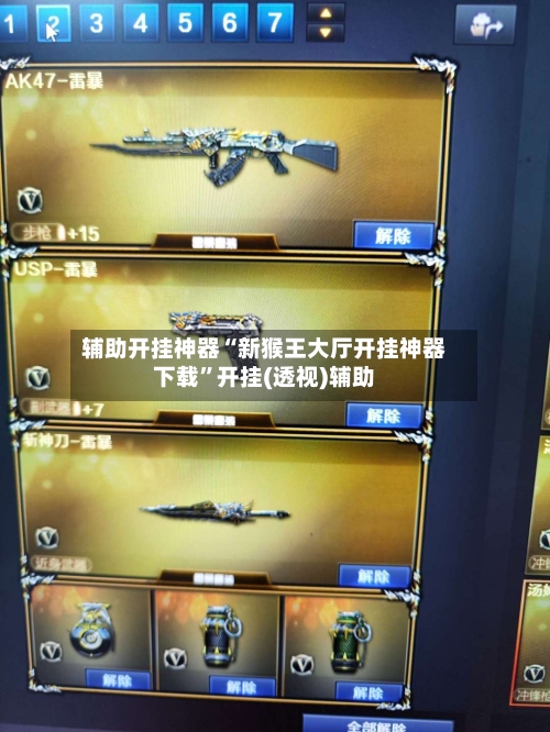 辅助开挂神器“新猴王大厅开挂神器下载	”开挂(透视)辅助-第1张图片