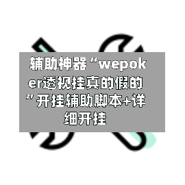 辅助神器“wepoker透视挂真的假的”开挂辅助脚本+详细开挂-第3张图片