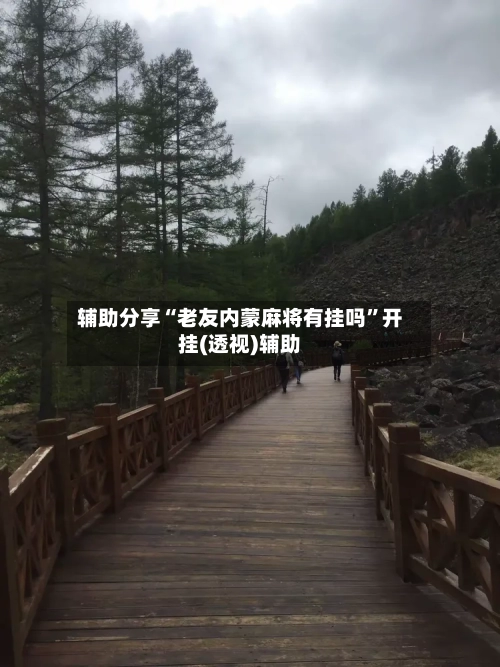 辅助分享“老友内蒙麻将有挂吗”开挂(透视)辅助-第2张图片