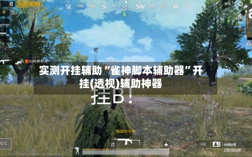 实测开挂辅助“雀神脚本辅助器”开挂(透视)辅助神器-第3张图片