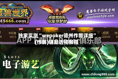 独家实测“wepoker德州作弊详细”(作弊)辅助透视教程-第3张图片