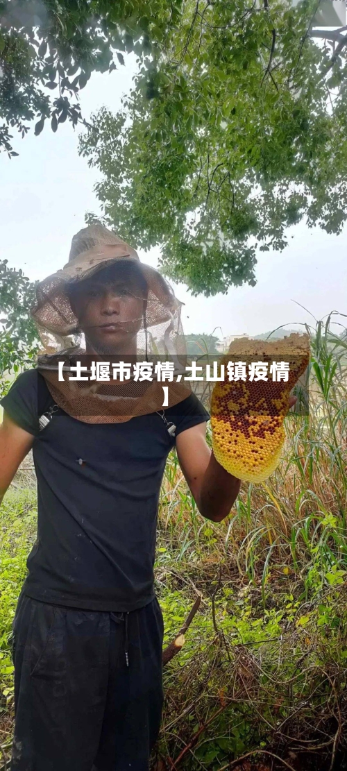 【土堰市疫情,土山镇疫情】-第2张图片