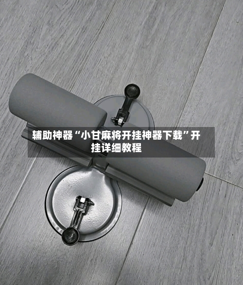 辅助神器“小甘麻将开挂神器下载	”开挂详细教程-第2张图片