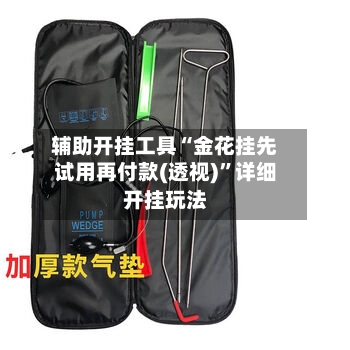 辅助开挂工具“金花挂先试用再付款(透视)”详细开挂玩法-第1张图片