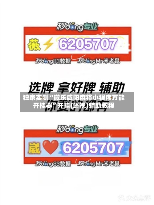 独家实测“微乐咸阳麻将小程序万能开挂器”开挂(透视)辅助教程-第2张图片