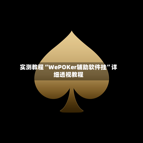 实测教程“WePOKer辅助软件挂”详细透视教程-第1张图片