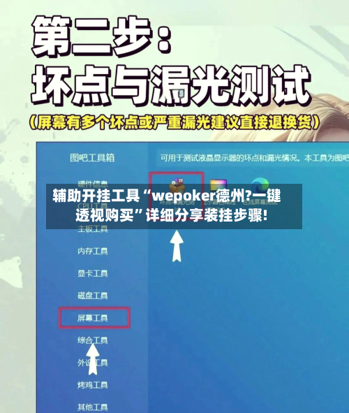 辅助开挂工具“wepoker德州?一键透视购买”详细分享装挂步骤!-第3张图片
