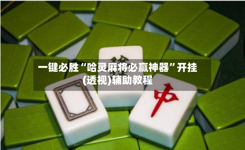 一键必胜“哈灵麻将必赢神器”开挂(透视)辅助教程-第3张图片