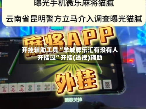 开挂辅助工具“羊城牌乐汇有没有人开挂过	”开挂(透视)辅助-第3张图片