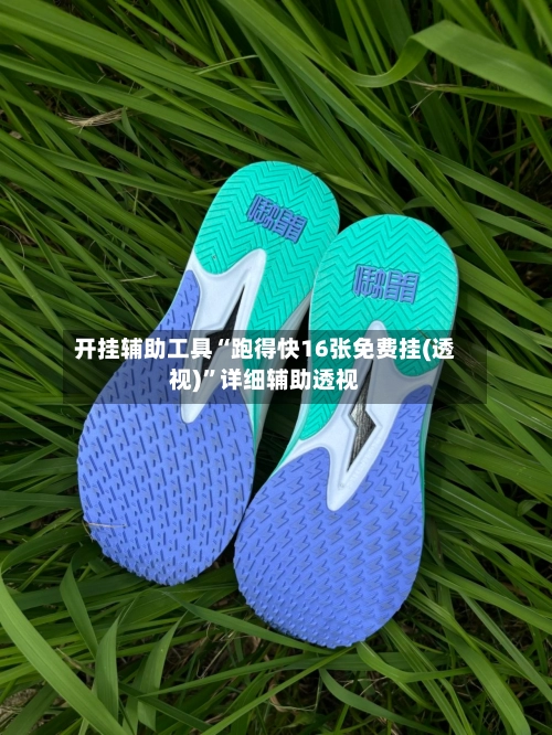 开挂辅助工具“跑得快16张免费挂(透视)	”详细辅助透视-第2张图片