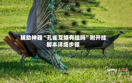 辅助神器“孔雀互娱有挂吗”附开挂脚本详细步骤-第1张图片