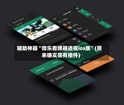 辅助神器“微乐看牌器透视ios版”(原来确实是有插件)-第3张图片