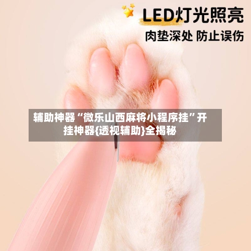 辅助神器“微乐山西麻将小程序挂	”开挂神器{透视辅助}全揭秘-第2张图片