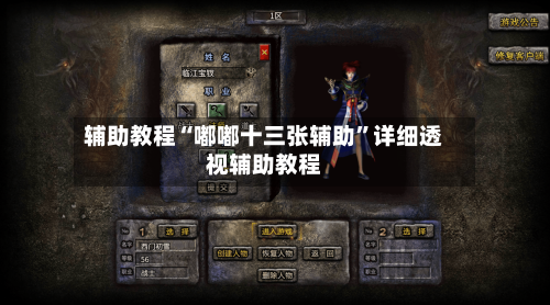 辅助教程“嘟嘟十三张辅助	”详细透视辅助教程-第3张图片